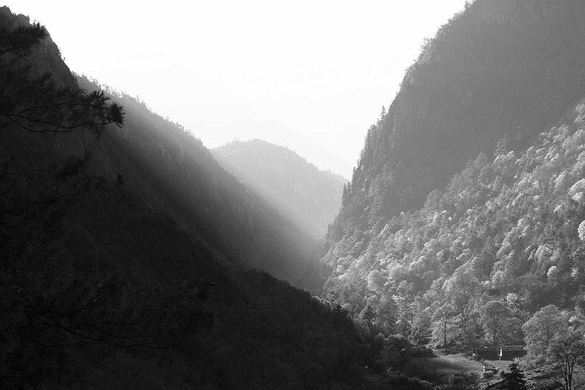 Karadeniz Yaylaları